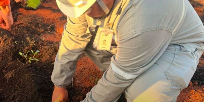 Sustentabilidade no dia a dia: MJRE celebra o mês do Meio Ambiente com aprendizado e ação
