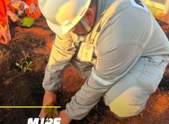 Sustentabilidade no dia a dia: MJRE celebra o mês do Meio Ambiente com aprendizado e ação